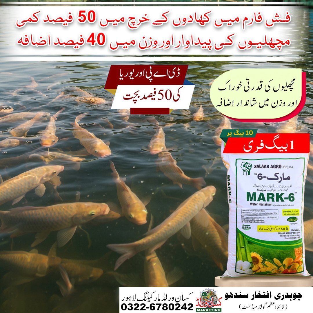 Mark6 Fertilizer for maize (makai) – South Korean imported water reclaimer to boost yield and crop strength in Pakistan