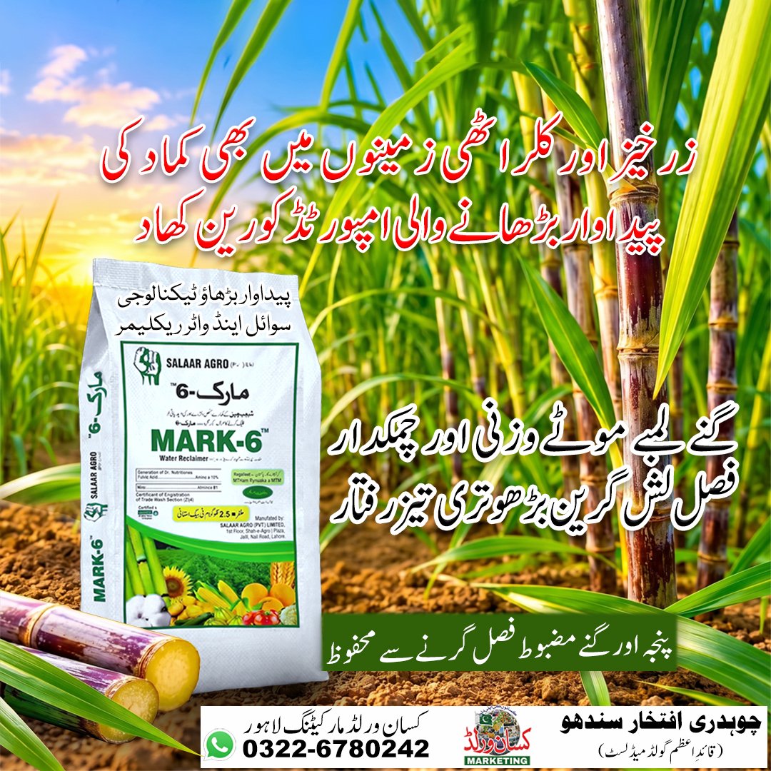 Mark6 Fertilizer for sugarcane (Kamad) – South Korean imported water reclaimer to boost yield and crop strength in Pakistan