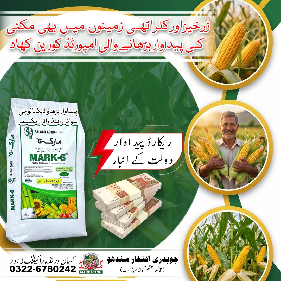 Mark6 Fertilizer for maize (makai) – South Korean imported water reclaimer to boost yield and crop strength in Pakistan