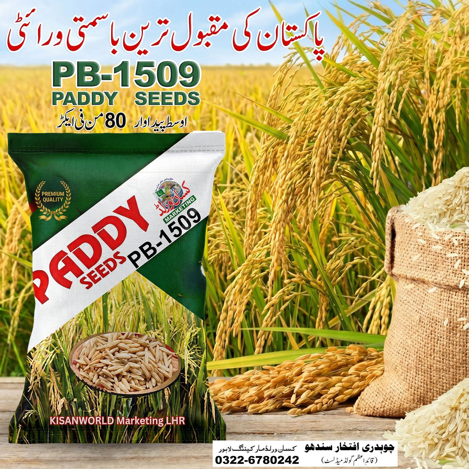 Kisan Basmati 1509 Paddy Seeds 20kg premium quality bag by KisanWorld Marketing Lahore - short duration high yield long aromatic grain basmati rice variety Pakistan