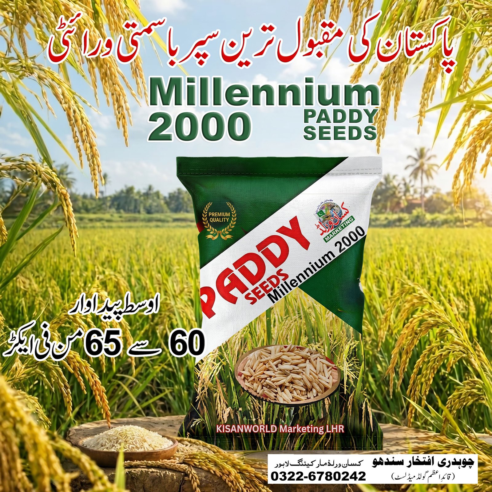 Super Basmati Millennium 2000 Paddy Seeds 10kg by KisanWorld Marketing Lahore - premium export quality aromatic long grain basmati rice variety Pakistan