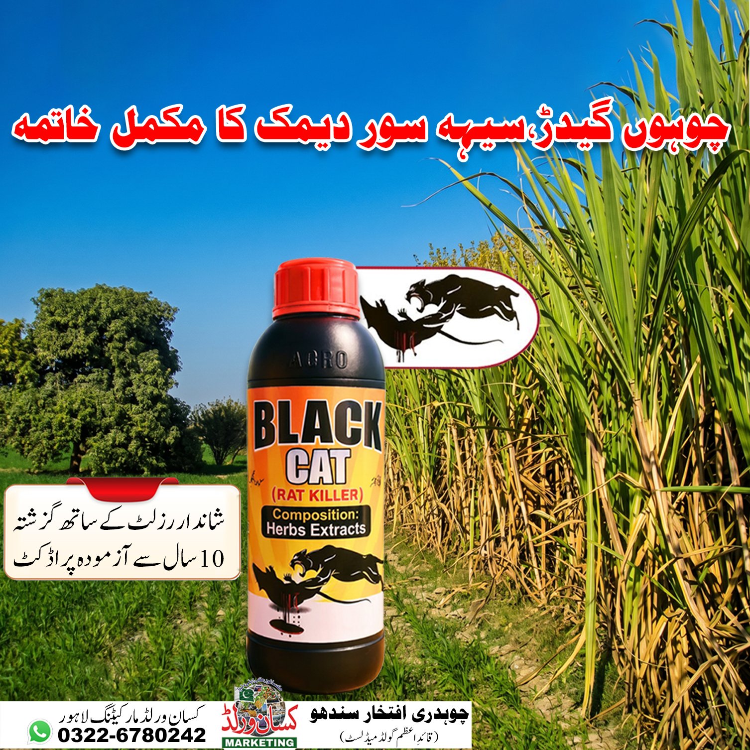 Black Cat Rat Killer 1 litre - complete solution for rats, porcupines and termites, trusted product for 10 years in Pakistan