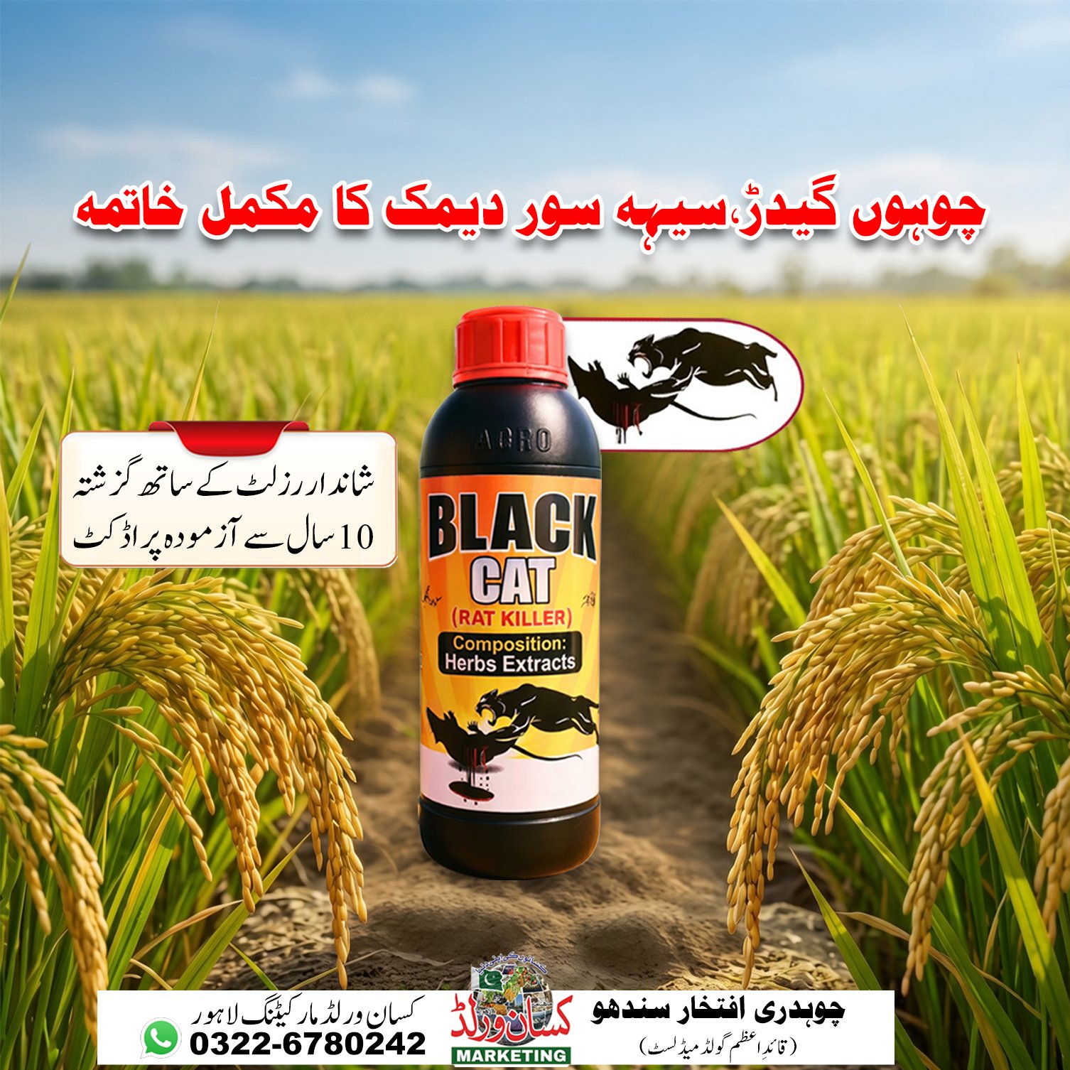 Black Cat Rat Killer 1 litre - complete solution for rats, porcupines and termites, trusted product for 10 years in Pakistan