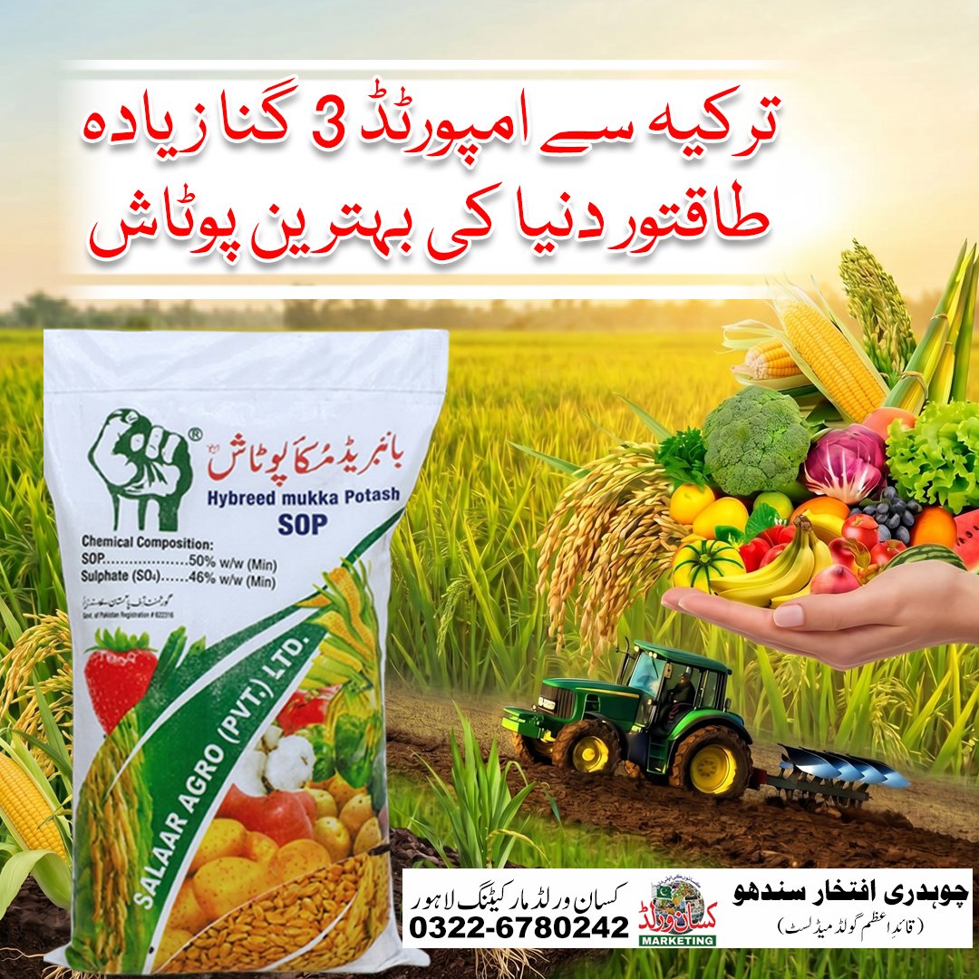 Hybreed Mukka Potash SOP 25kg - imported Turkish potash for longer, heavier  yield in Pakistan