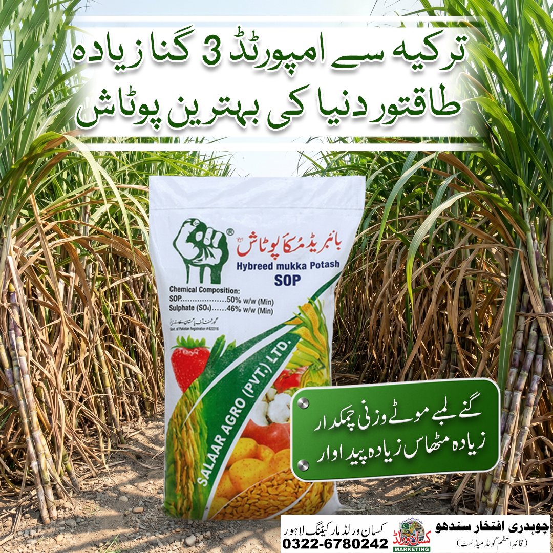 Hybreed Mukka Potash SOP 25kg - imported Turkish potash for longer, heavier and sweeter sugarcane yield in Pakistan
