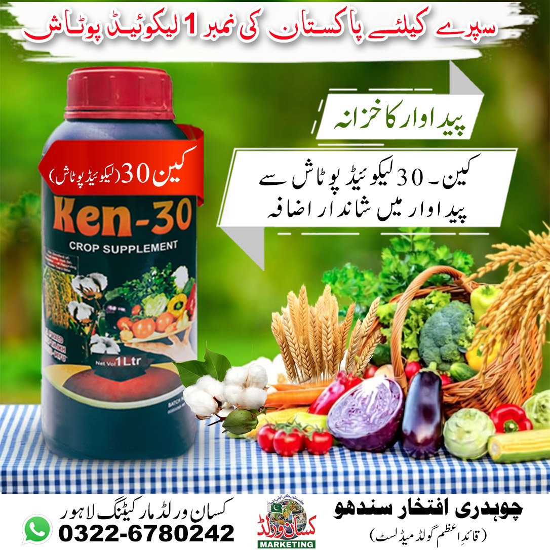 Ken-30 Pakistan Number 1 Liquid Potash with IAA IBA N-Triacontanol Bio Stimulant - crop supplement for wheat cotton corn and vegetables