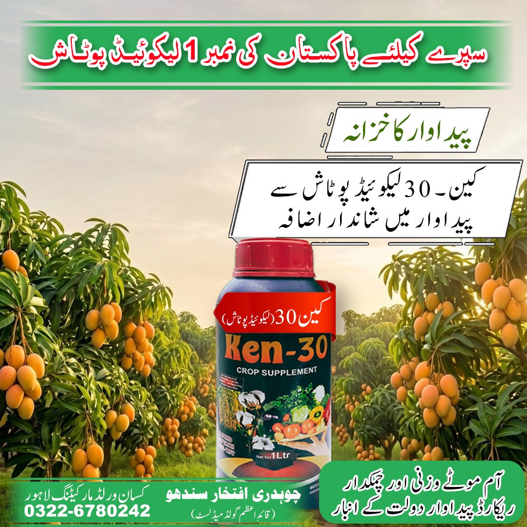 Ken-30 Pakistan Number 1 Liquid Potash with IAA IBA N-Triacontanol Bio Stimulant - crop supplement for wheat cotton corn and vegetables